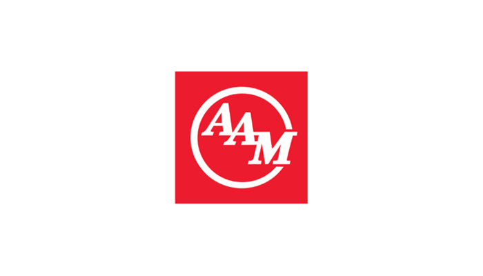 Análisis American Axle & Manufacturing Holdings Inc (AXL)