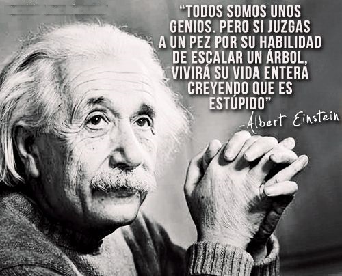 Comprar Einstein: Su vida y su universo