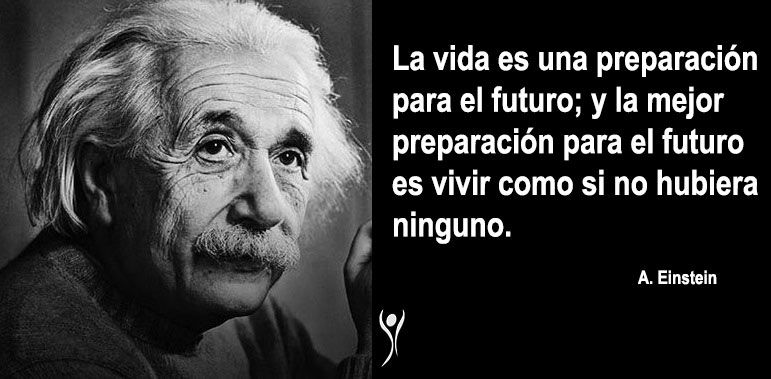 Libro Einstein: Su vida y su universo